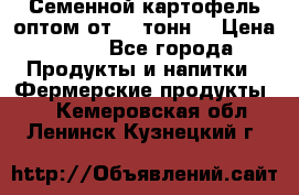 Семенной картофель оптом от 10 тонн  › Цена ­ 11 - Все города Продукты и напитки » Фермерские продукты   . Кемеровская обл.,Ленинск-Кузнецкий г.